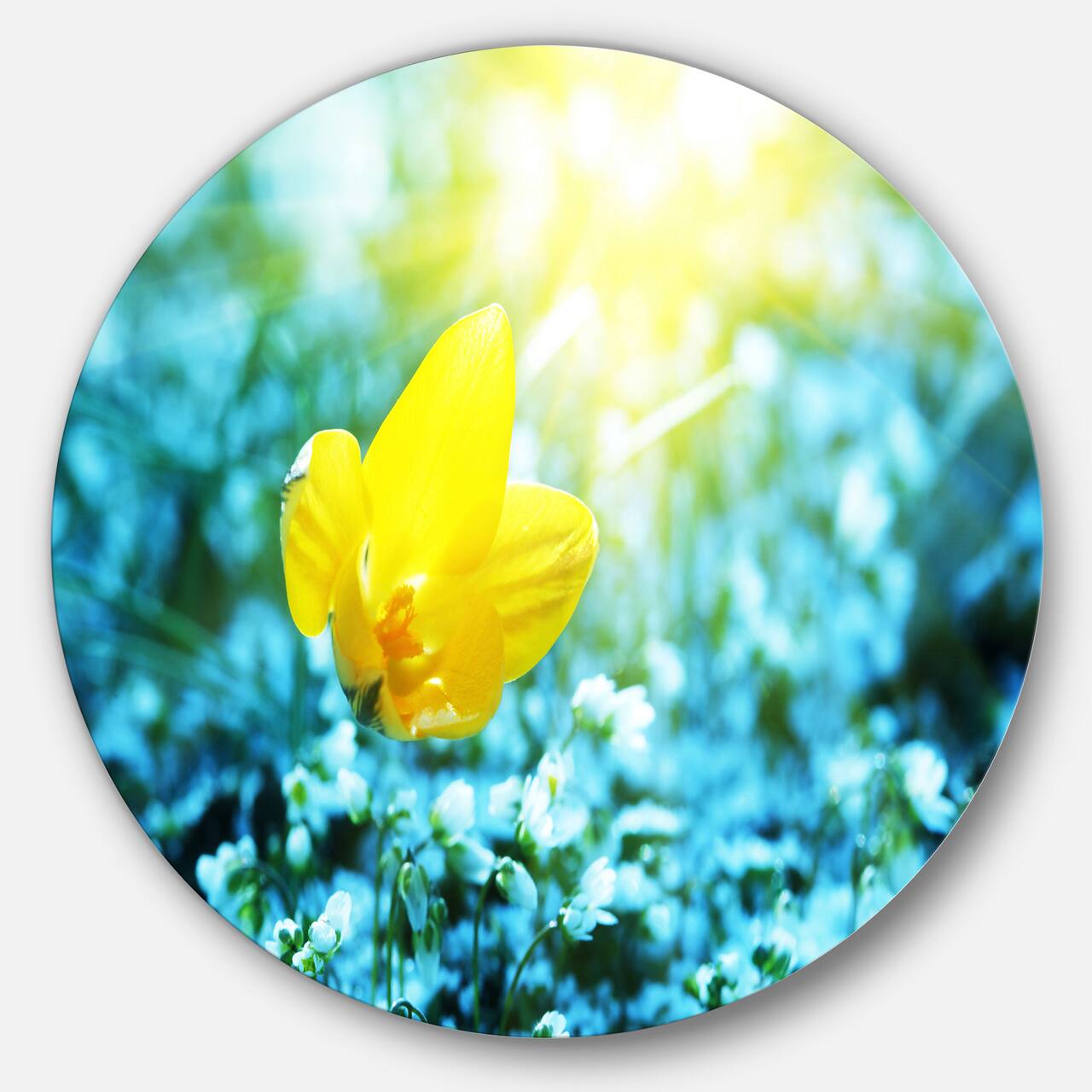 Designart - Beautiful Yellow Spring Flower' Floral Metal Circle Wall Art